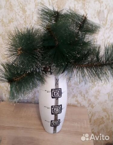 Ветки сосны новые