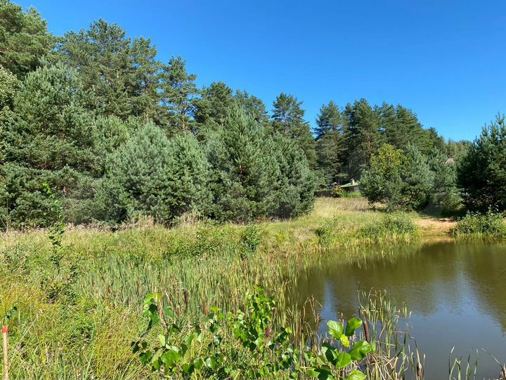 Участок 16 сот. (СНТ, ДНП)