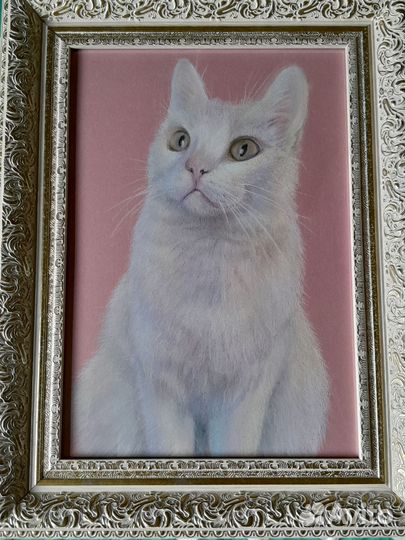 Картина котик