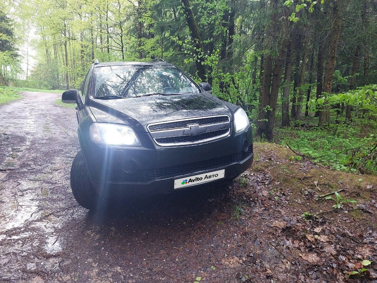 Chevrolet Captiva: фото владельца