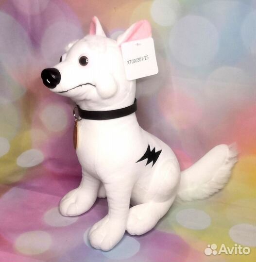 Собака Вольт