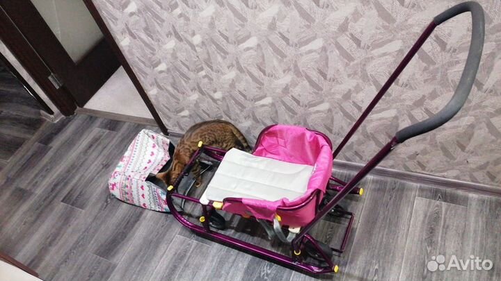 Коляска санки