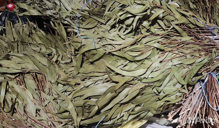 Веники дуб 280-320 липа 250-320, берёза 200 эвкали