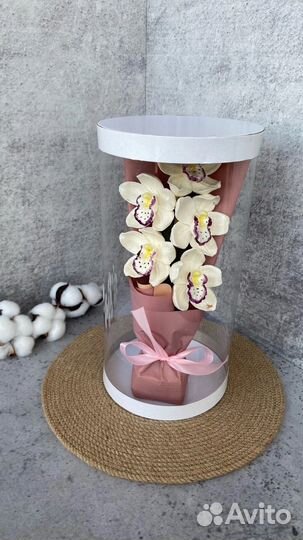 Зефирные коробочки