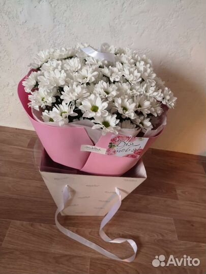 Хризантема