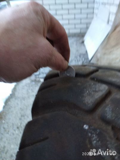 Taxat Summer 7.00 R12 203ZR