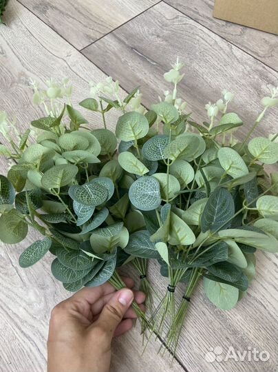 Эвкалипт искусственный