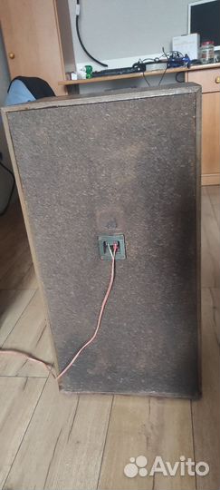 Колонки от Радиотехника s90D