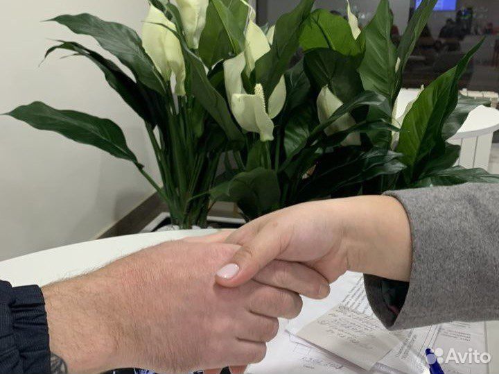 Готовый бизнес