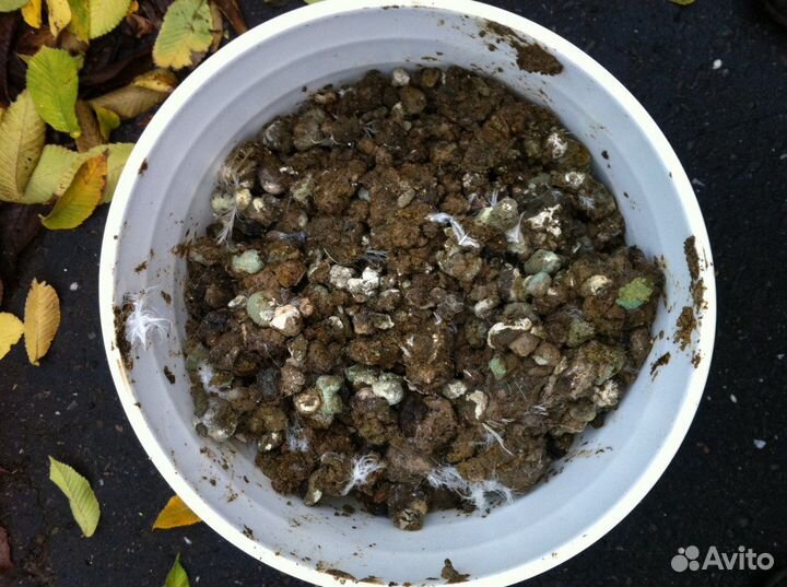 Помёт куриный в п/э мешках по 2 ведра