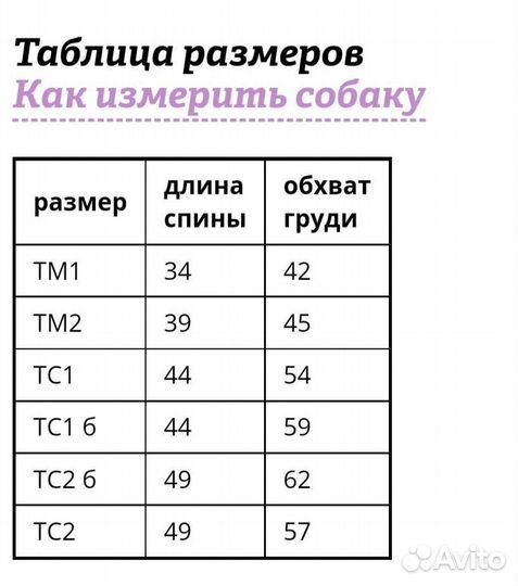 Зимний новый комбинезон для миниатюрной таксы