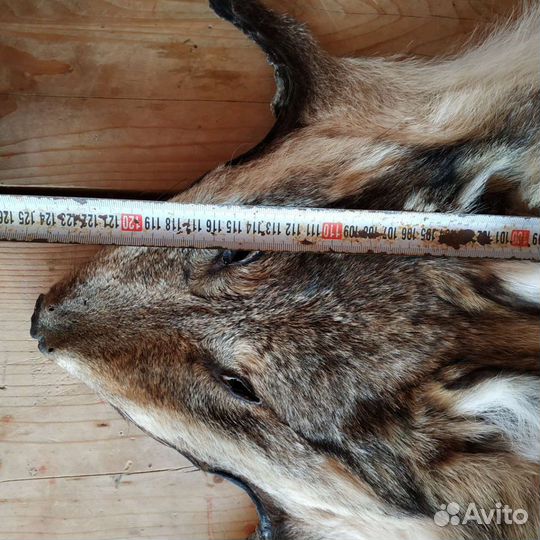 Шкура Волка ковер