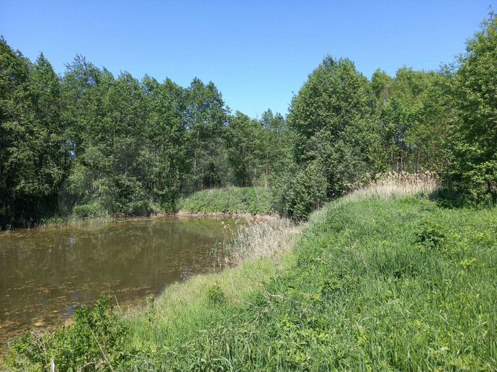 Участок 3,29 га (СНТ, ДНП)