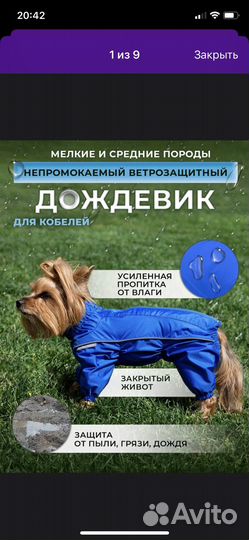 Дождевик для собаки