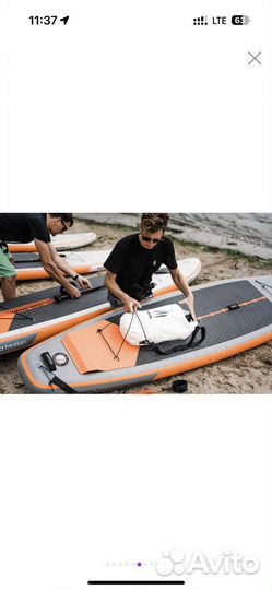 Sup board Shark (новые)