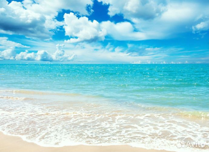 Поездки на море, горы, заказ автобусов