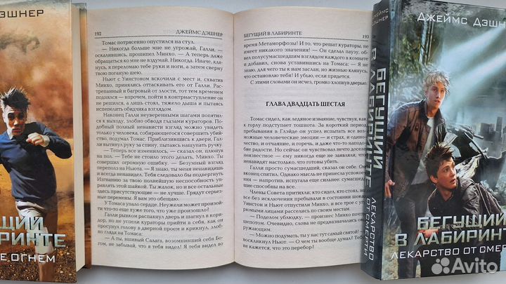 Книга Бегущий в лабиринте