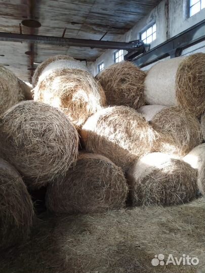 Продам сено в тюках