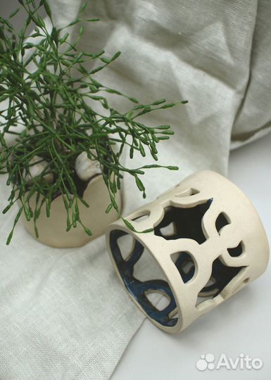 Хатиора в керамическом горшке с поддоном