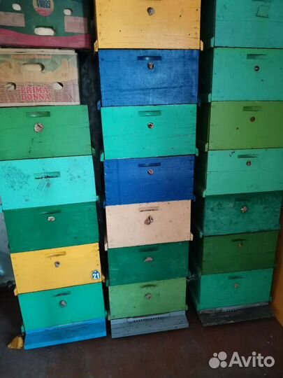 Ульи для пчел
