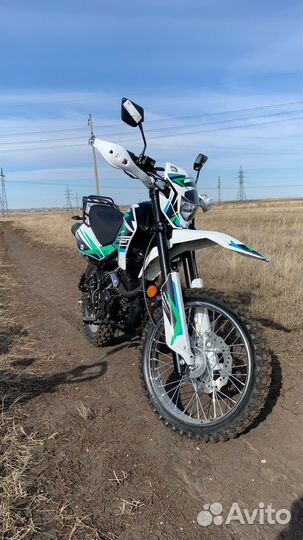 Racer panthers 250