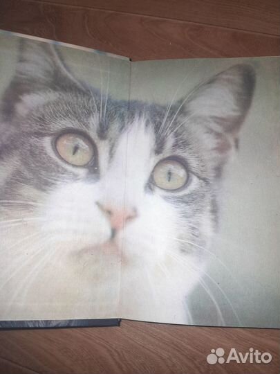 Книга Ваши четвероногие друзья