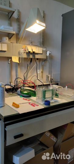 Репетитор по биологии и химии