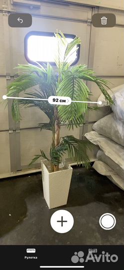 Искусственная пальма