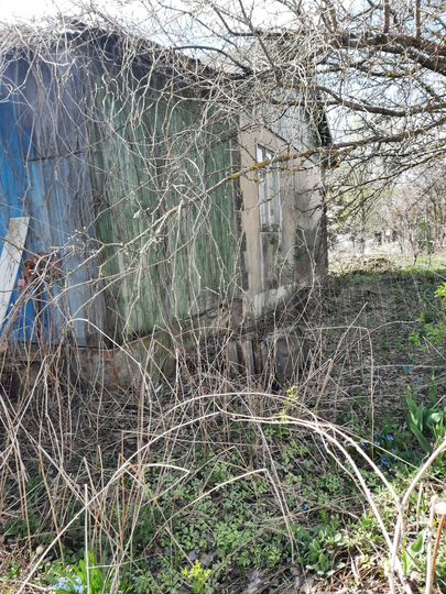 Дом 60 м² на участке 50 сот.