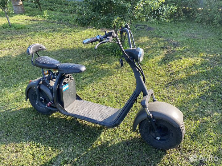 Электоскутор