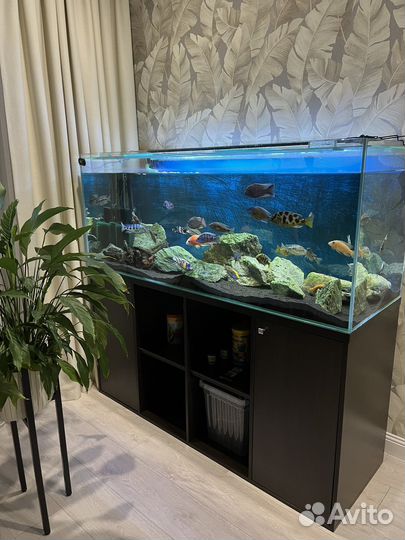 Аквариум 450л