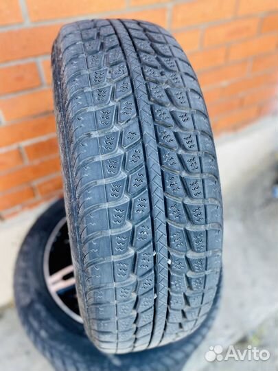 Federal Himalaya WS1 175/65 R14