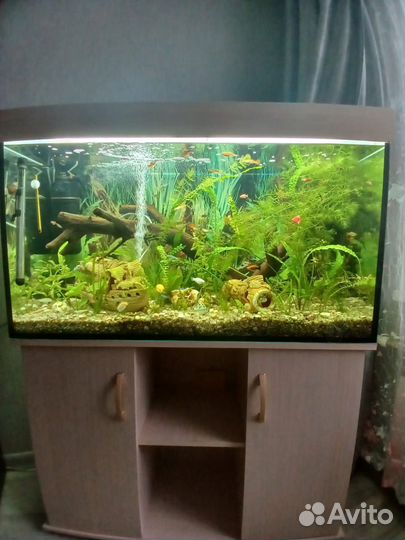 Продам аквариум с тумбой