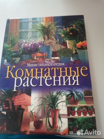 Книга комнатные растения