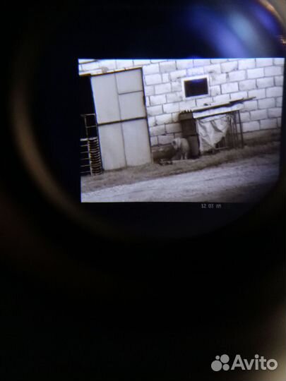 Цифровой прицел ночного видения.Пульсар 750