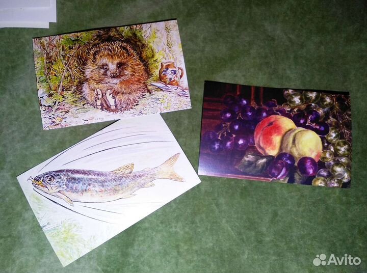 Открытка Beatrix Potter The World of Peter Rabbit