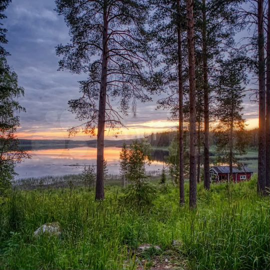 Участок 13 сот. (СНТ, ДНП)