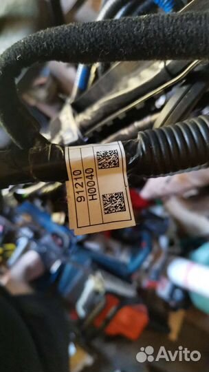 Жгут проводов на Kia Rio с монтажным блоком