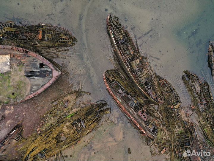 Экскурсия — Териберка — Териберка, или российский