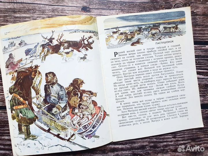 Рочев. Маленький Митрук и большая тундра 1974 г