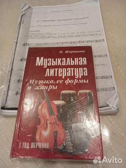 Музыкальная литература