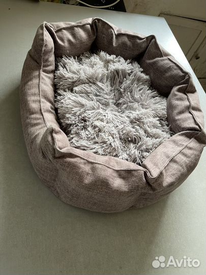 Лежанка для кошек, домик, игра