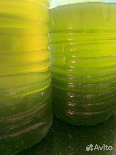 Хлорелла-суспензия-концентрат для пруда 1л