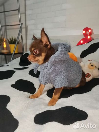 Кофта для маленьких собак