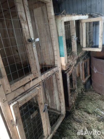 Клетка для кролика