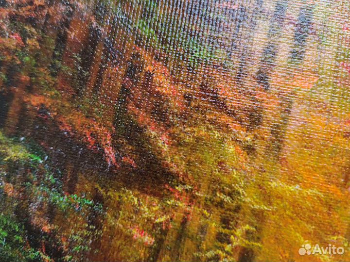 Картина на холсте \ осень в парке