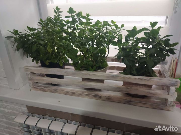 Деревянные кашпо для цветов