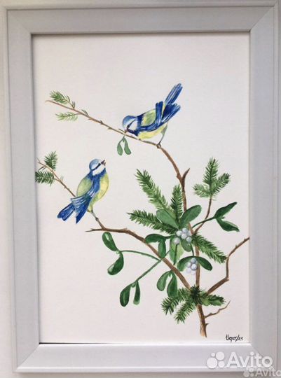 Этюды акварелью птицы: Синицы, снегири и др