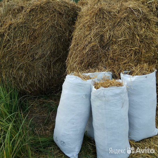 Солома в мешках