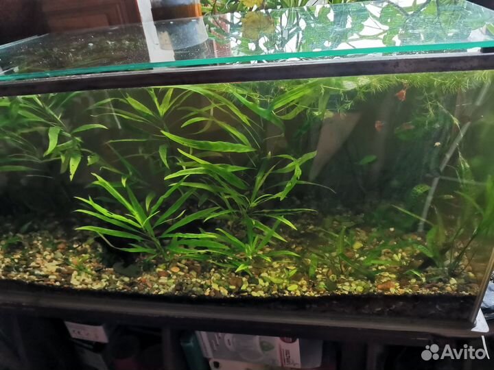 Для Аквариумистики